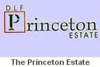 DLF Princeton Estate